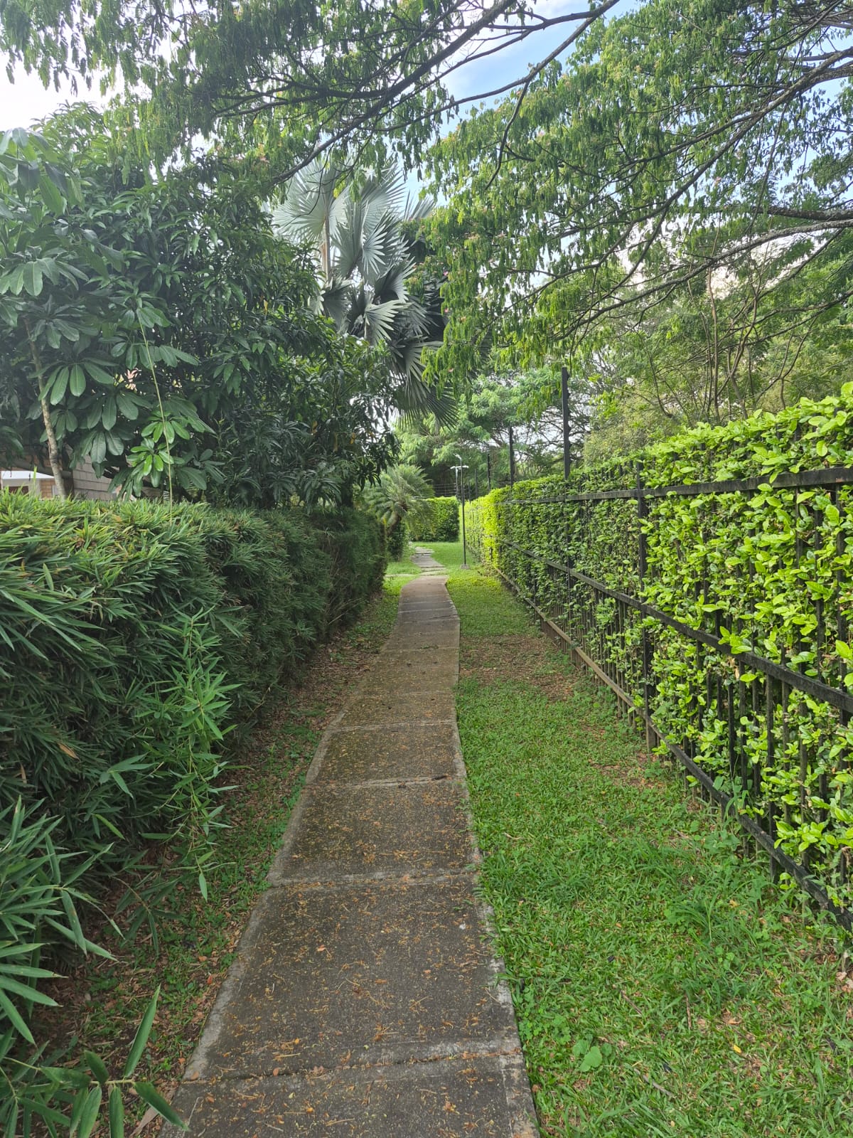 F-SENDERO PEATONAL PERIMETRAL
