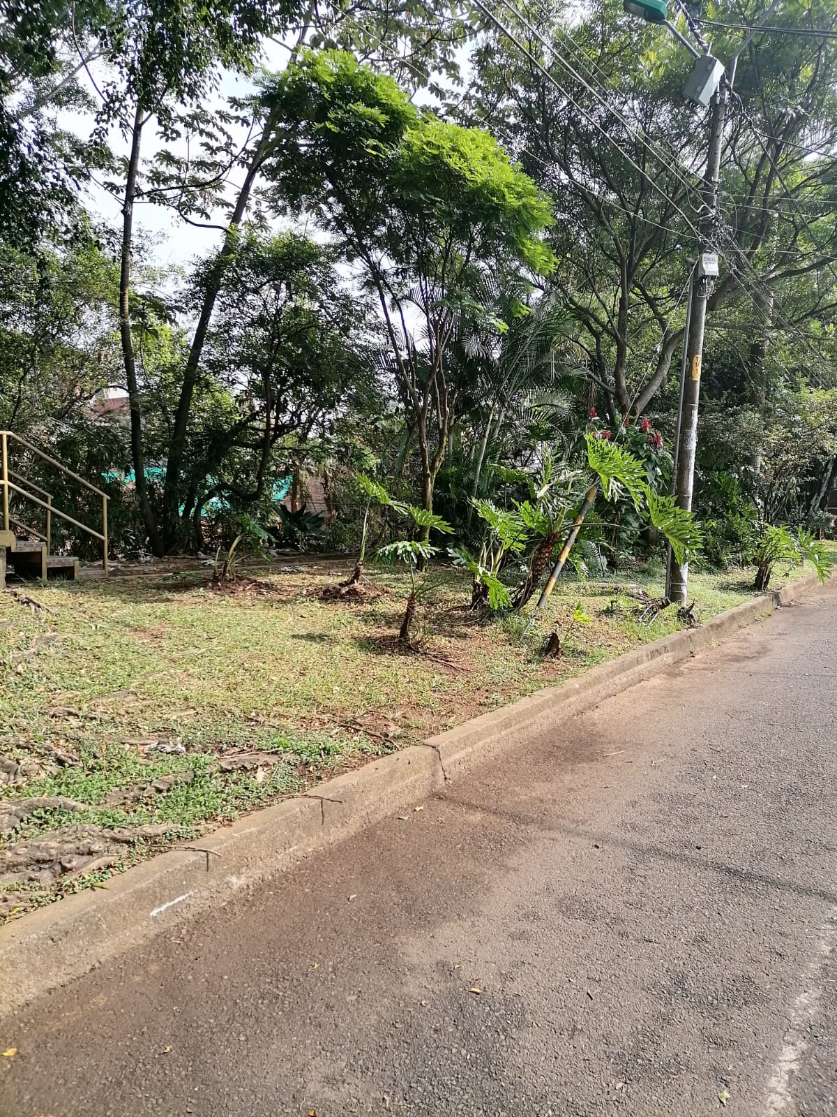 F-ZONA VERDE